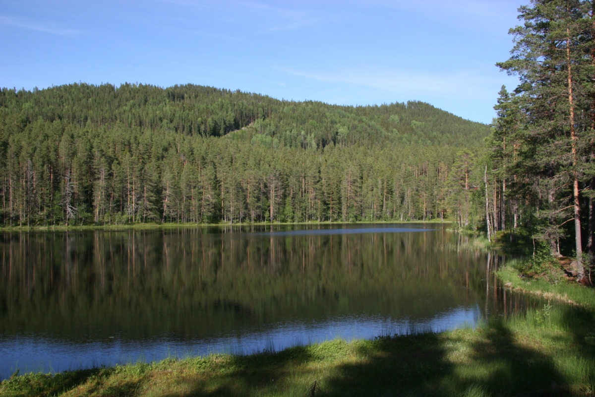 Siljan Schakt, Infreas dotterbolag och deras tjänst biotopvård.