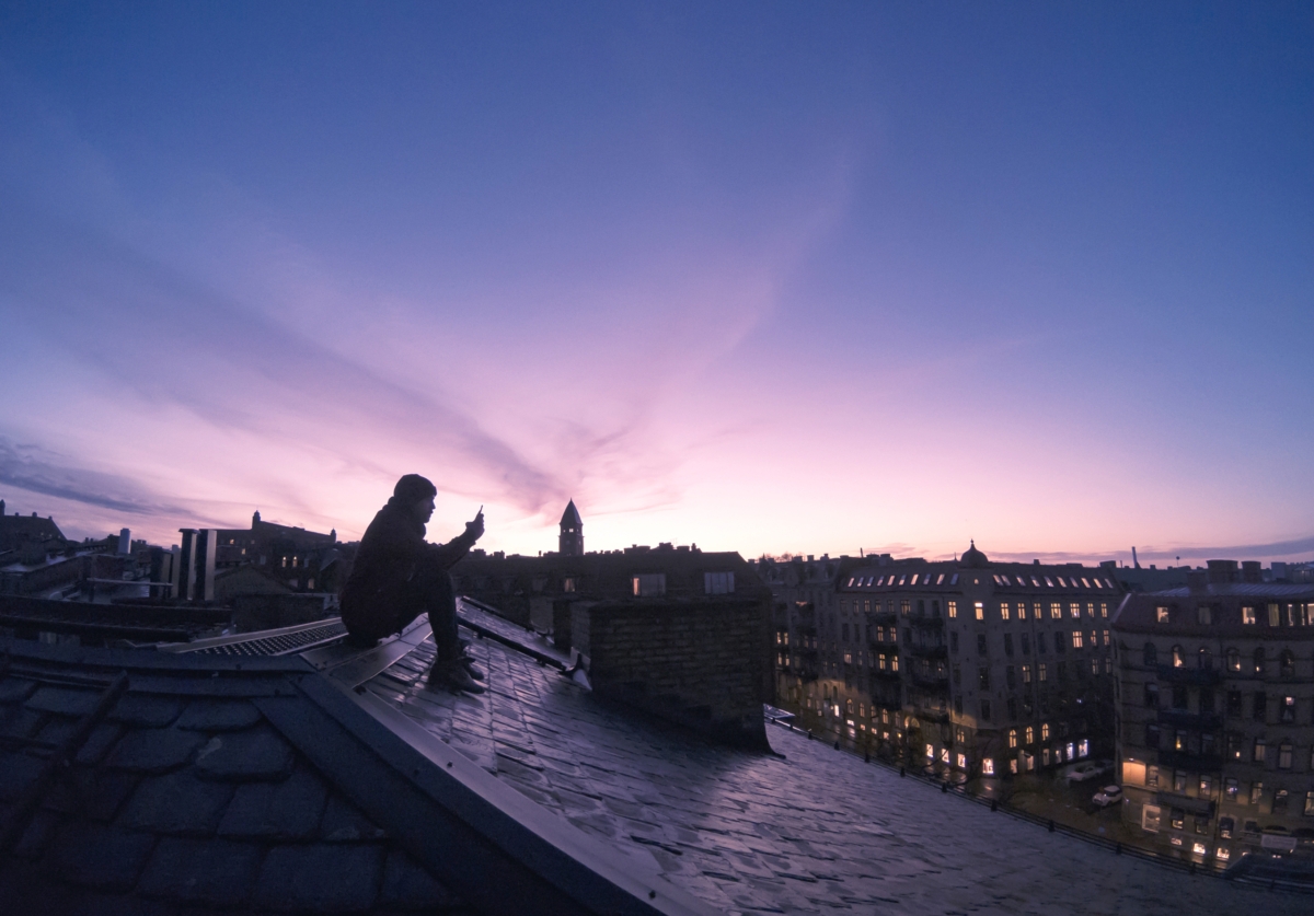 Infrea är en stabil tvååring.